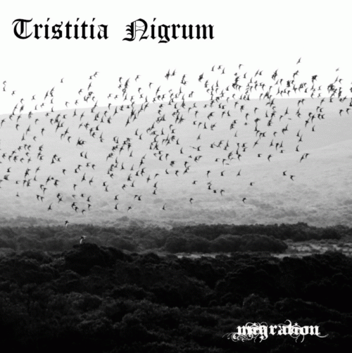Tristitia Nigrum : Migration Part I